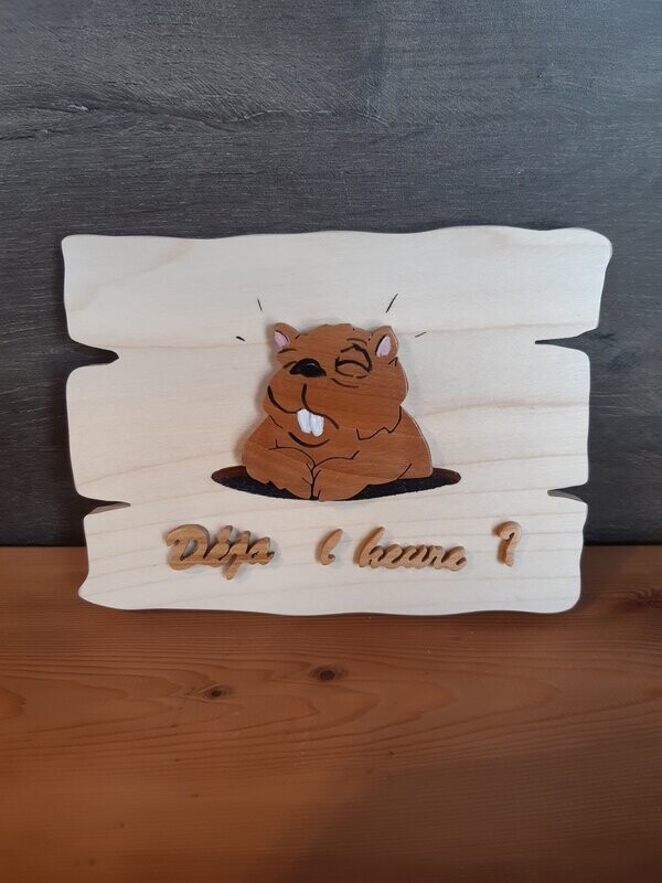 Plaque de porte en bois - CHAMBRE