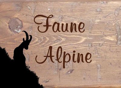 Faune Alpine