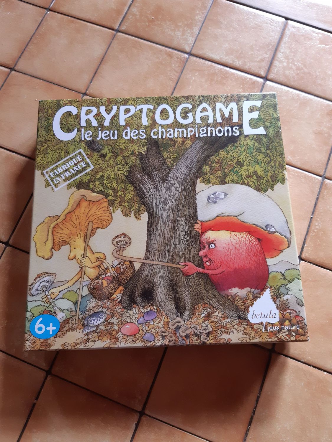 Jeu de champignons - Mémo et Stratégie Jeu de champignons - Mémo et Stratégie