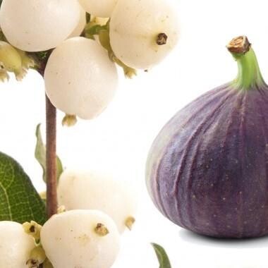 Festive Fig and Snowberry
