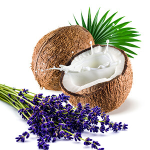 COCONUT &amp; LAVENDER
