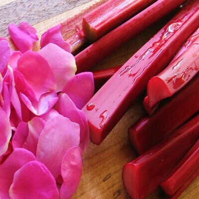 Rose &amp; Rhubarb