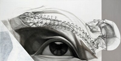 Mykola Molchan &quot;The Eye&quot;