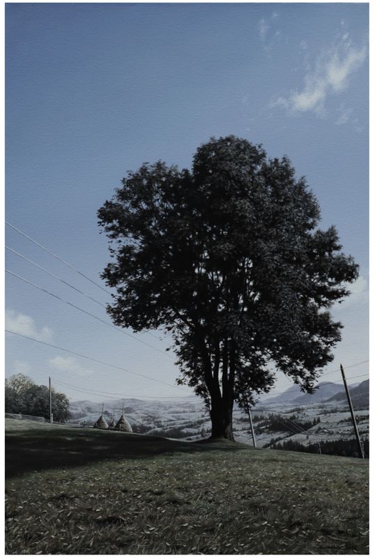 Yulia Dolynska &quot;The Ash tree. Verkhovyna&quot;
