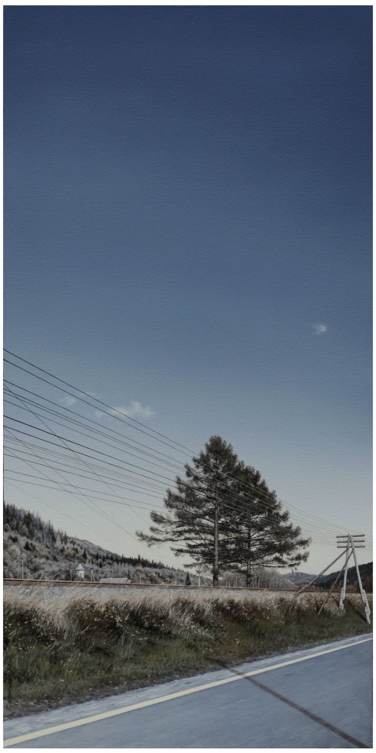 Yulia Dolynska &quot;The Pines. Tatariv&quot;