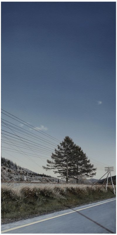 Yulia Dolynska &quot;The Pines. Tatariv&quot;