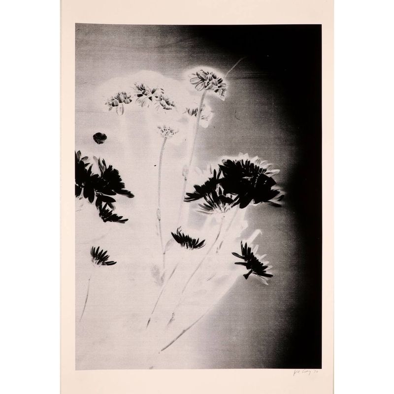 Joe Cory &quot;Artificial Light III&quot;