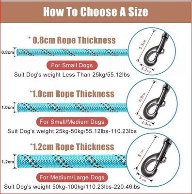 Strong Nylon Dog Leash