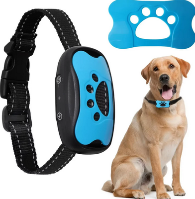 Dogs Training Collar