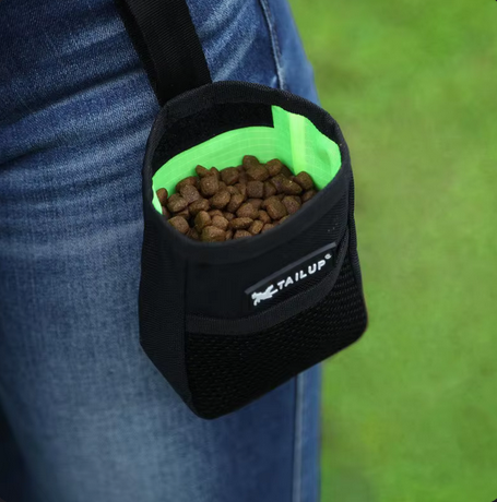 Outdoor Portable Training Dog