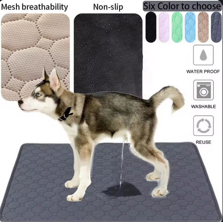 Pee Training Pads for Dogs