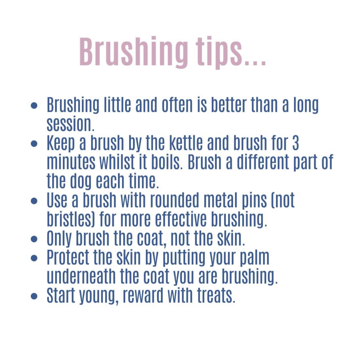 My Groomer Recommends - No More Knots Coat Management Spray