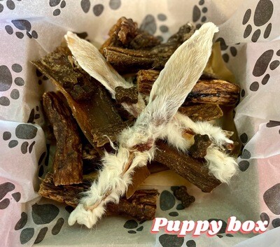 Puppy Treat Box