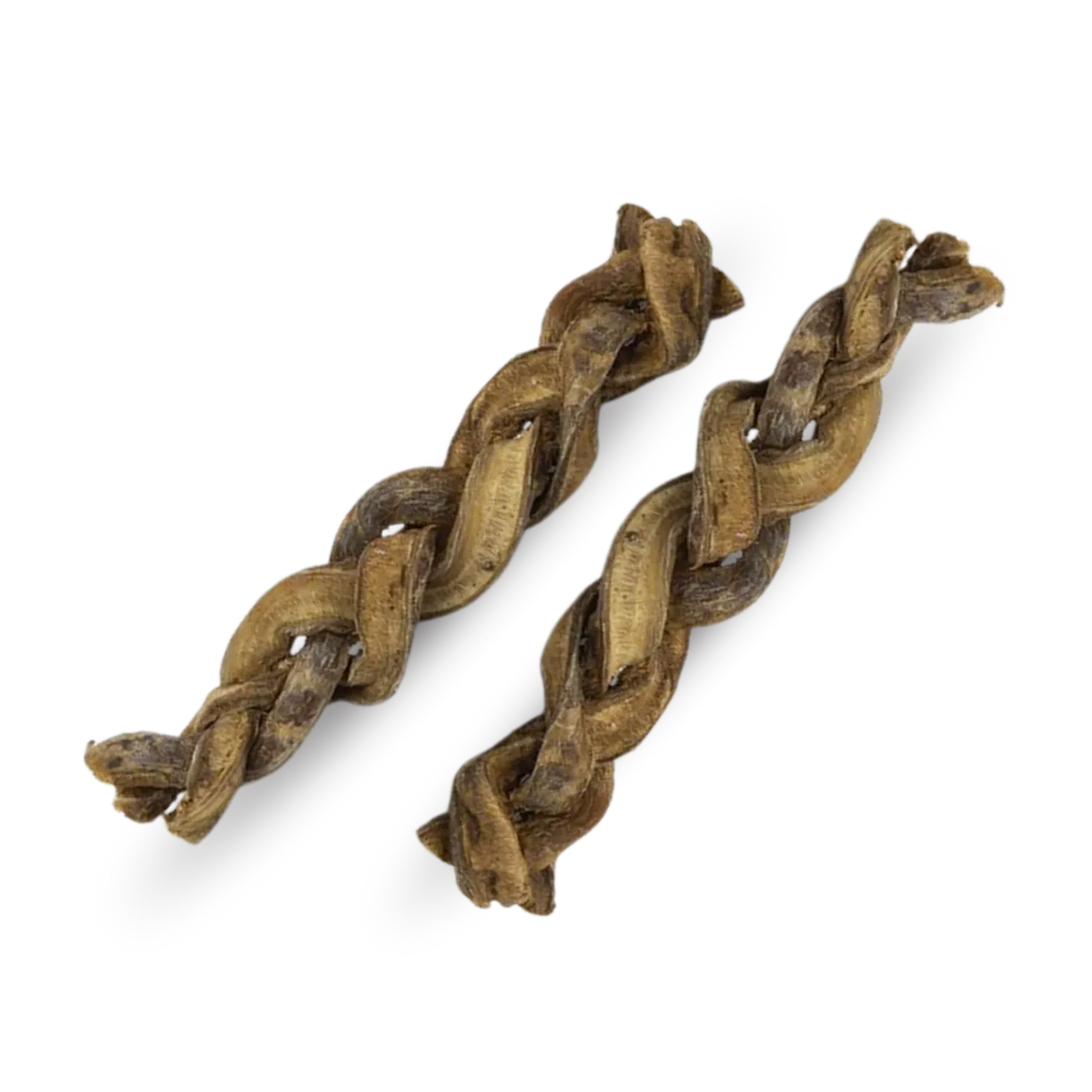 Braided Buffalo Pizzle