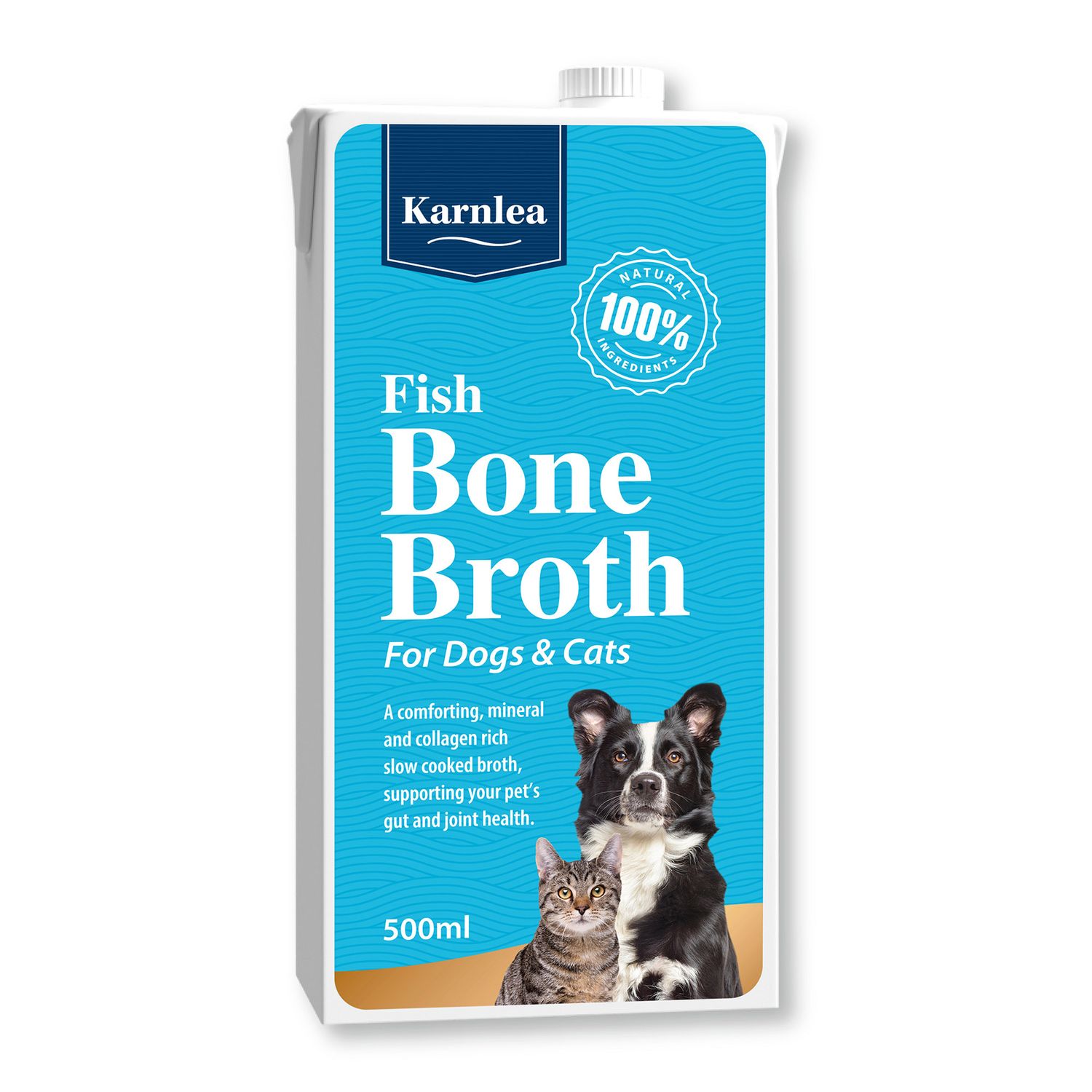 Fish Bone Broth