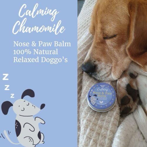 Calming Nose &amp; Paw Balm