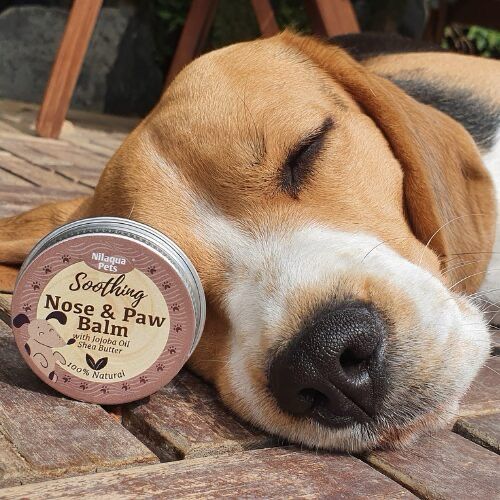 Soothing Nose &amp; Paw Balm