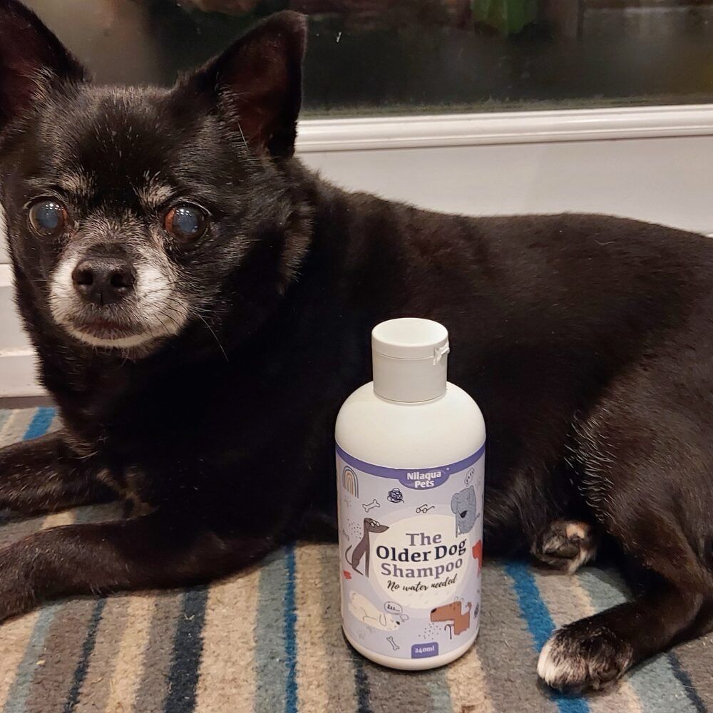 The Older Dog Shampoo