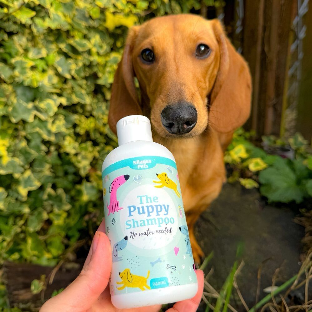 The Puppy Shampoo