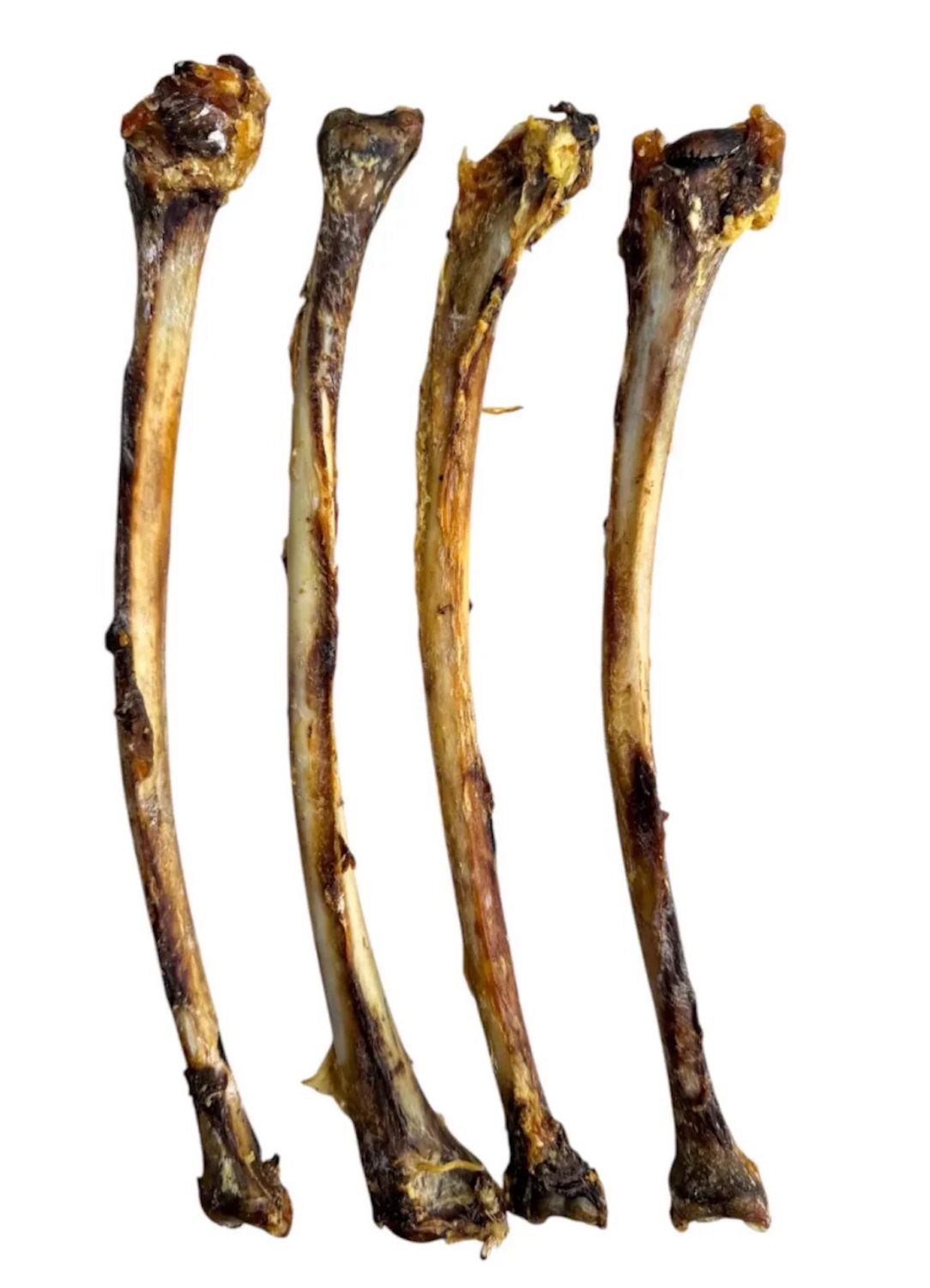 Ostrich Wing Bone