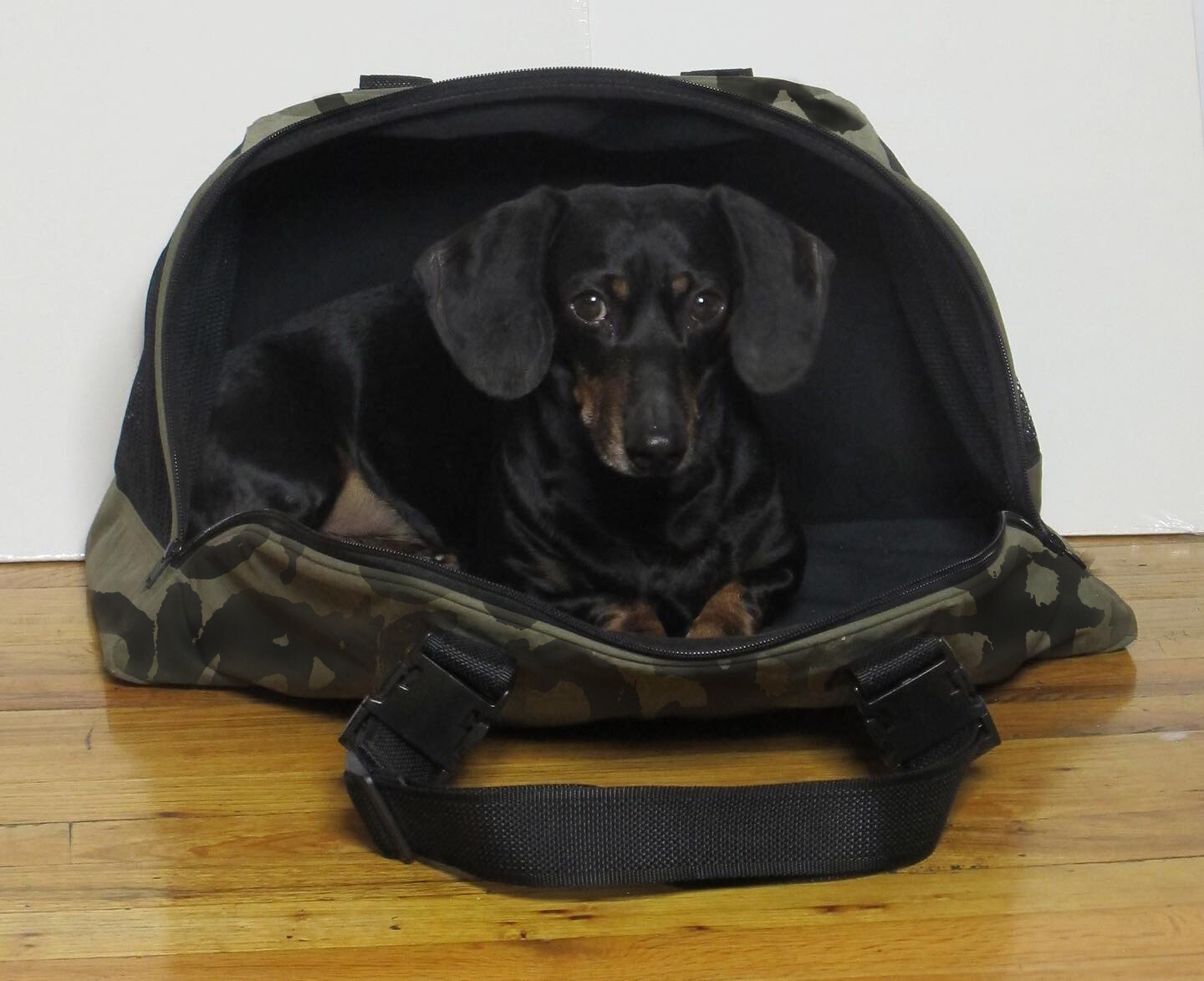 TotePet™ Fold-Able Grafitti Carrier