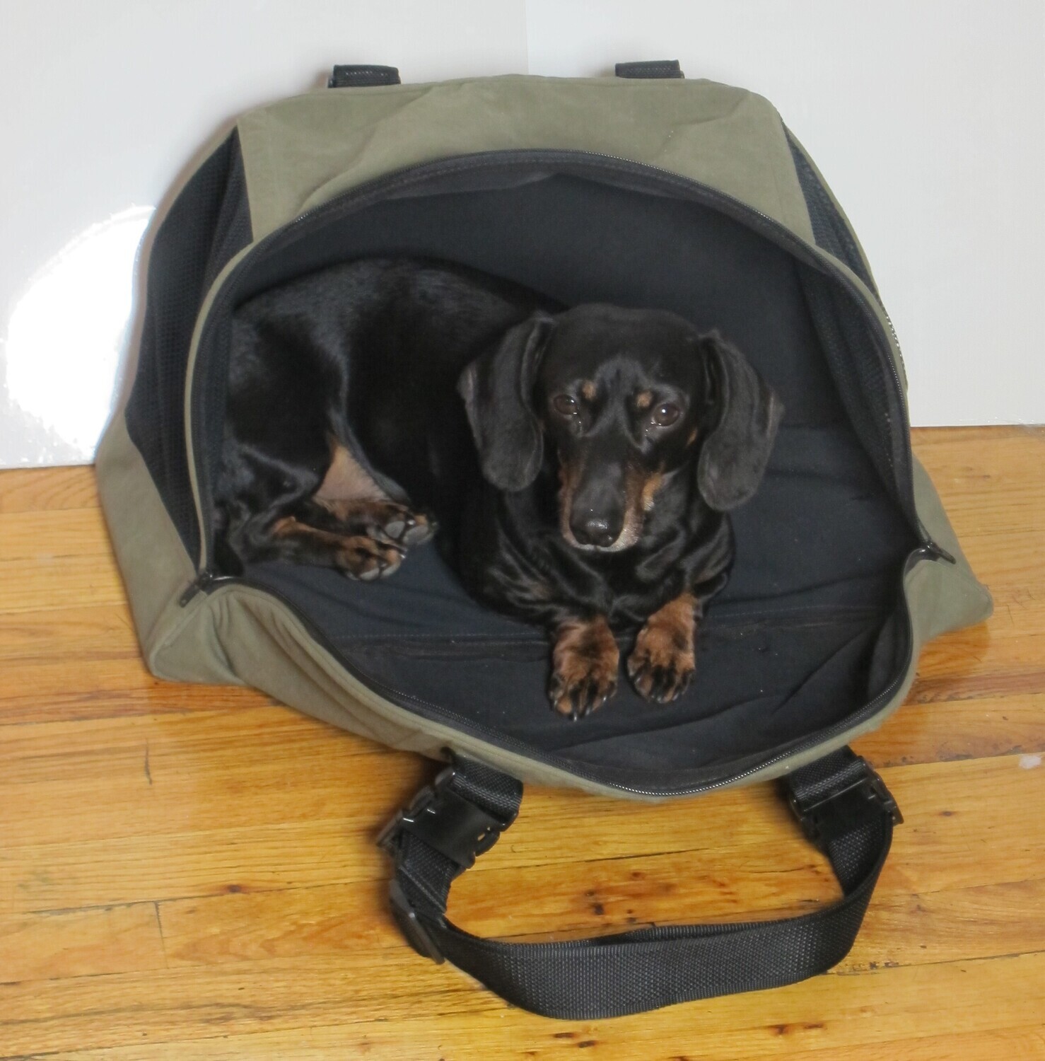 TotePet™ Fold-Able Carrier