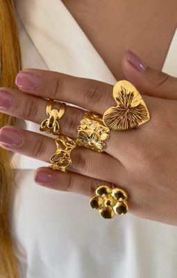 Anillos ajustables de acero inoxidable 