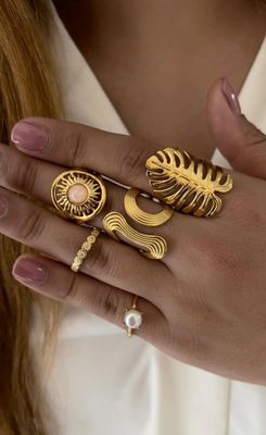 Anillos ajustables de acero inoxidable 