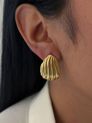Aretes de concha / acero inoxidable 