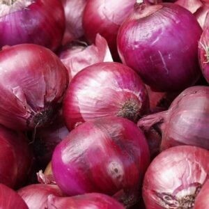 cebolla morada