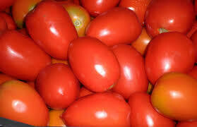 tomate pera