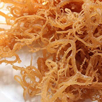 Ocean Grown Golden Sea Moss