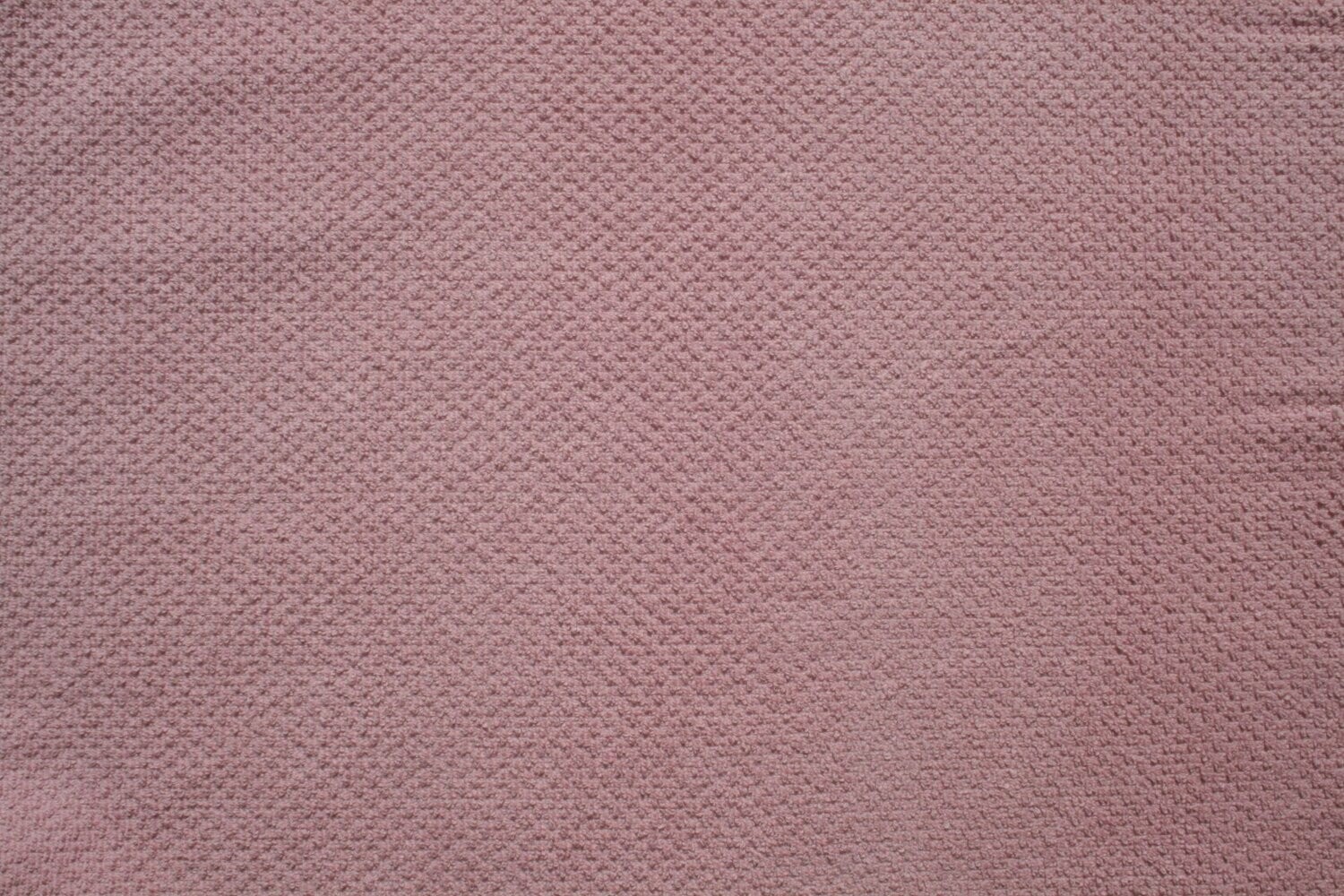 Crinkle Sweet -  rosa