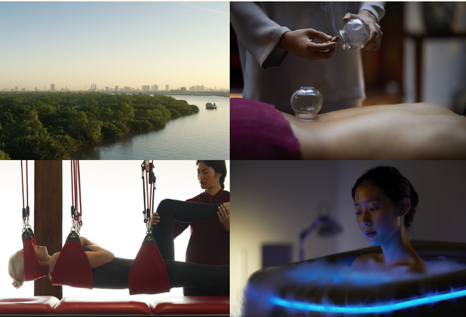 ONE-DAY WELLNESS PACKAGE with RAKxa