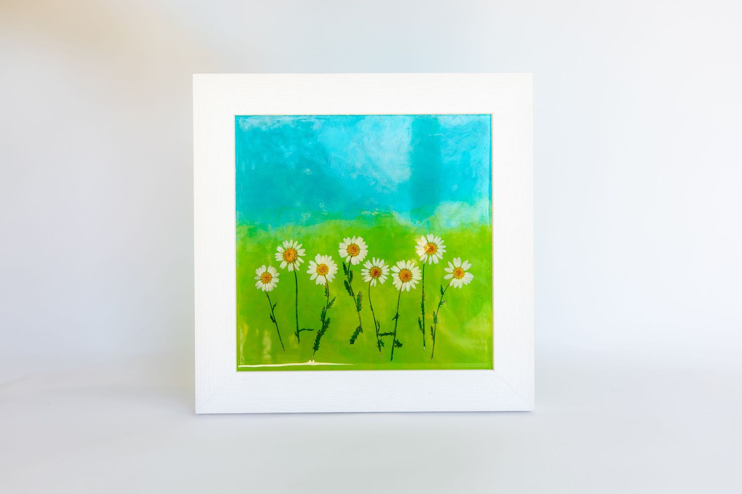 Daisies in field