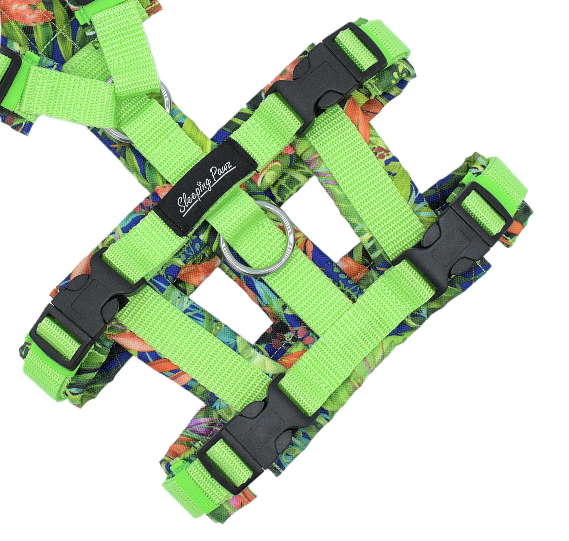 Gr. XS Dschungel Oase x Pistazie