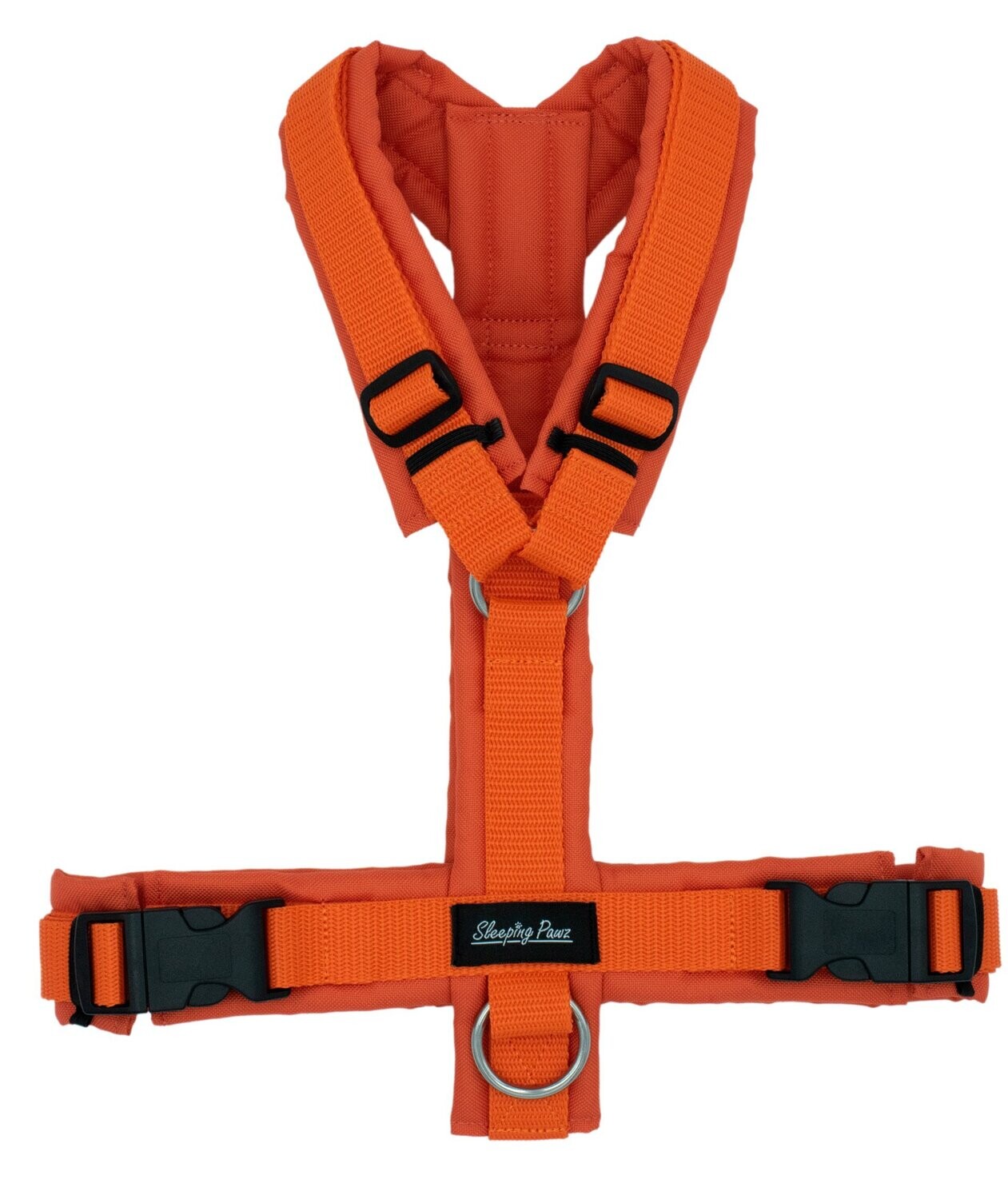 Gr. M Orange x Orange