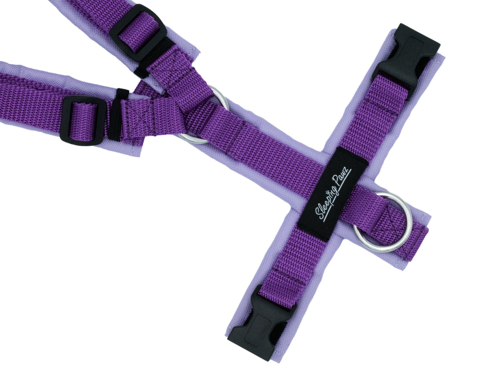 Gr. S Flieder x Fuchsia