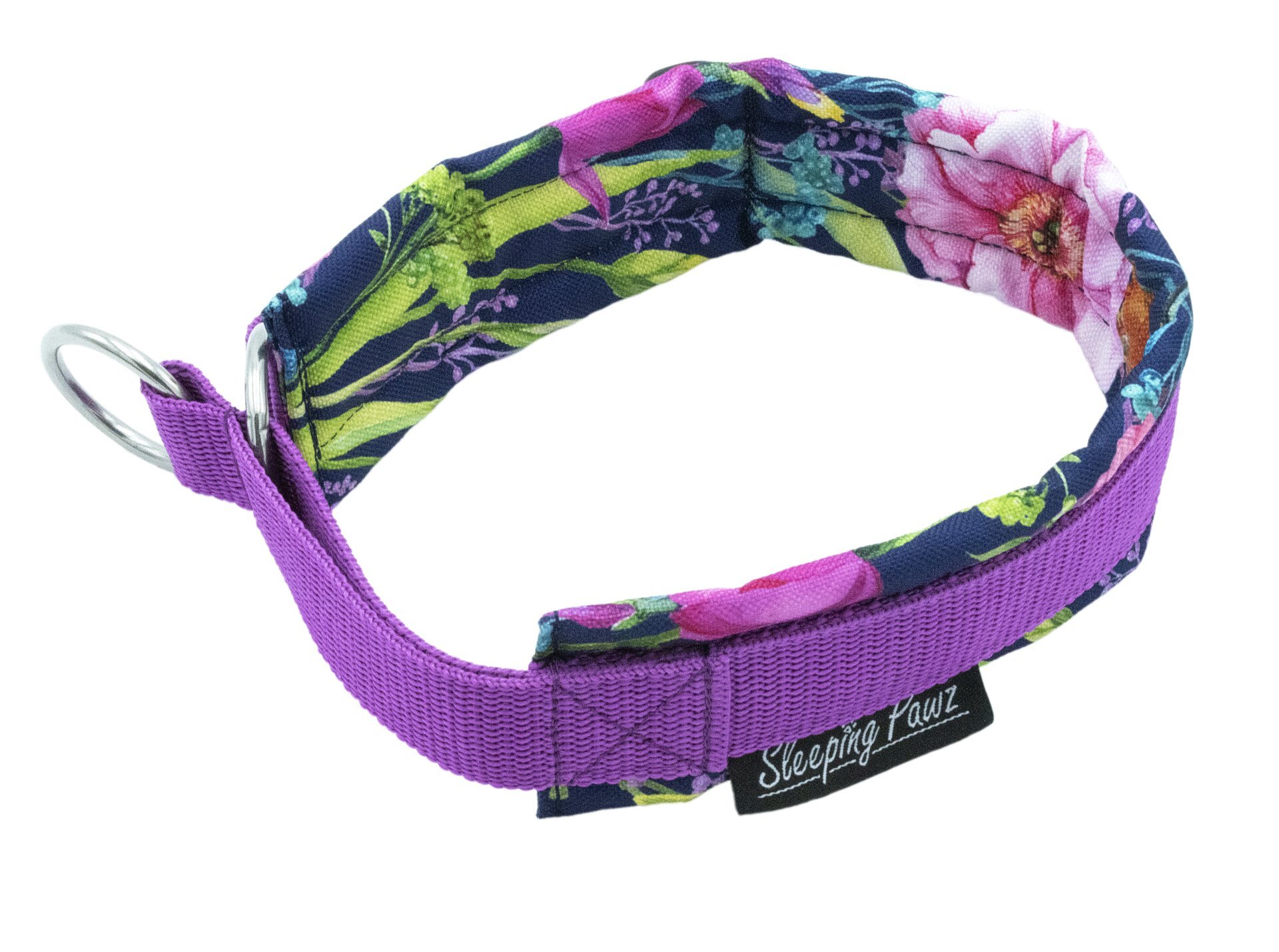 Gr. M Eisvogel x Fuchsia