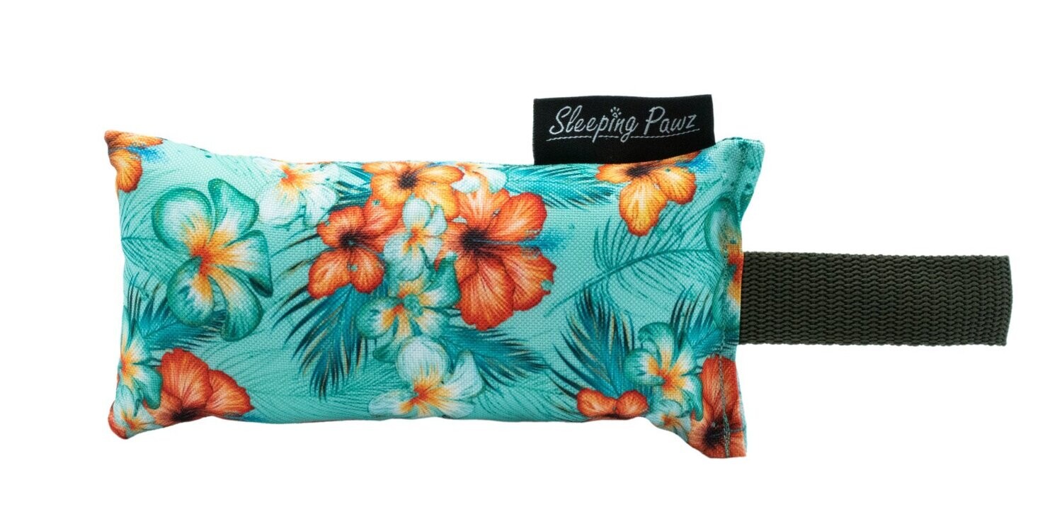 Gr. M Flower of Hawaii x Oliv