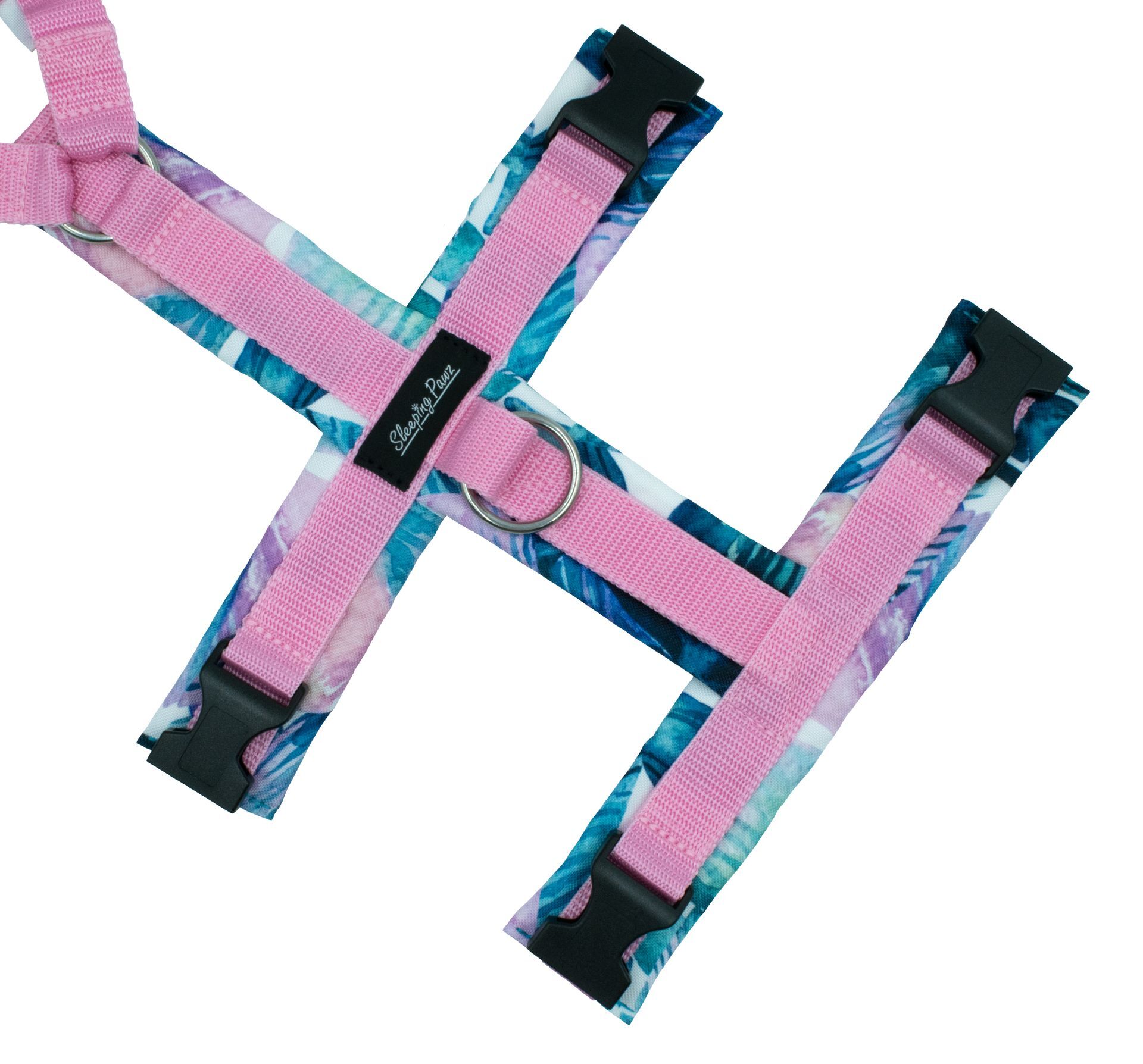 Gr. L Follow the Magic x Rosa