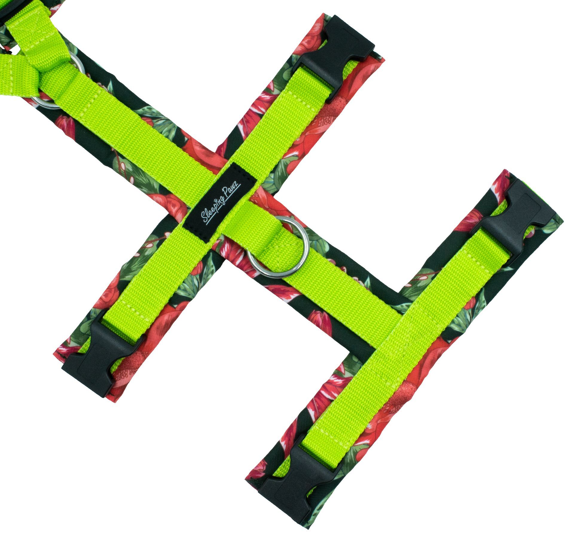 Gr. L Azaleas x Pistazie