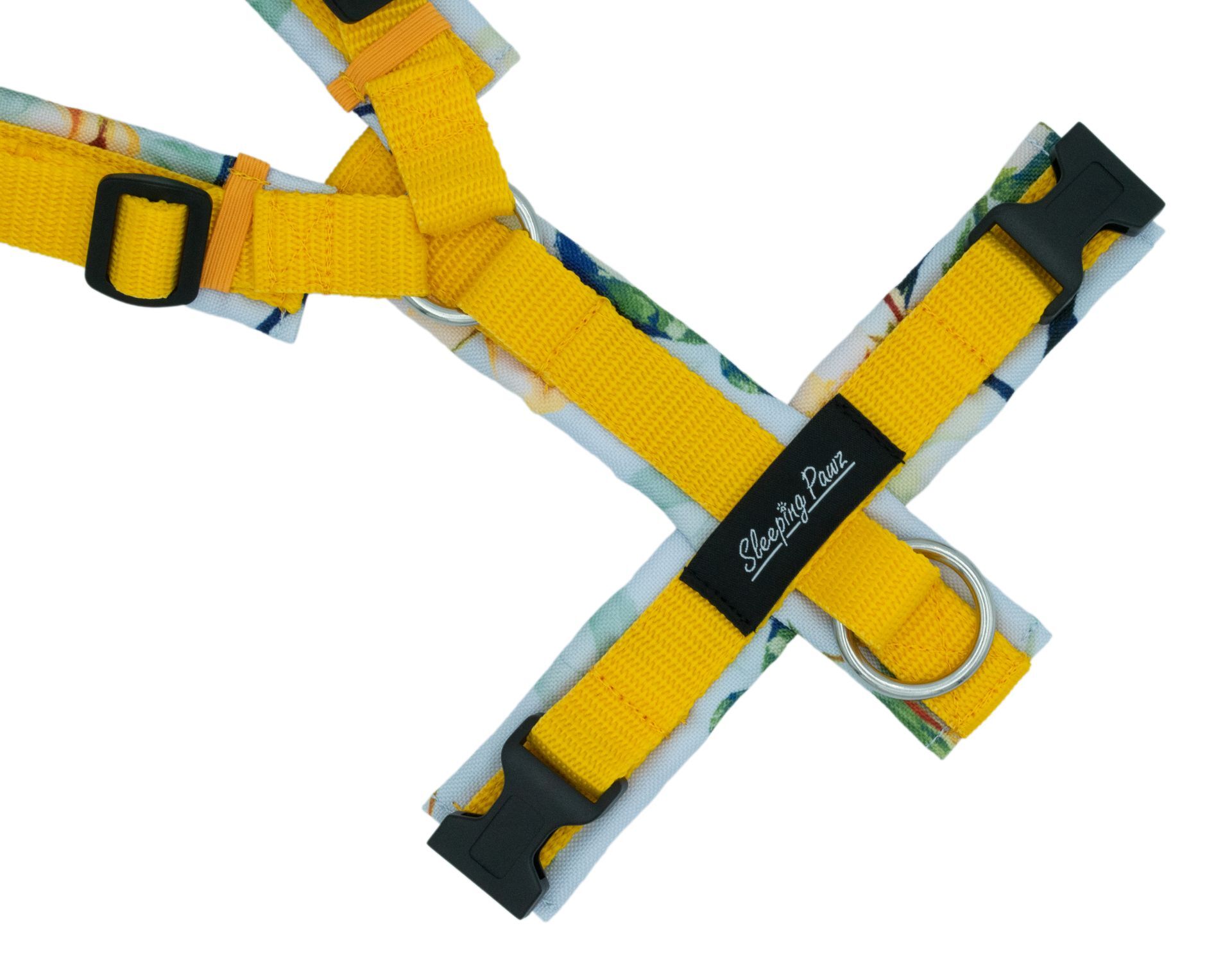 Gr. S Apple Blossom x Gelb