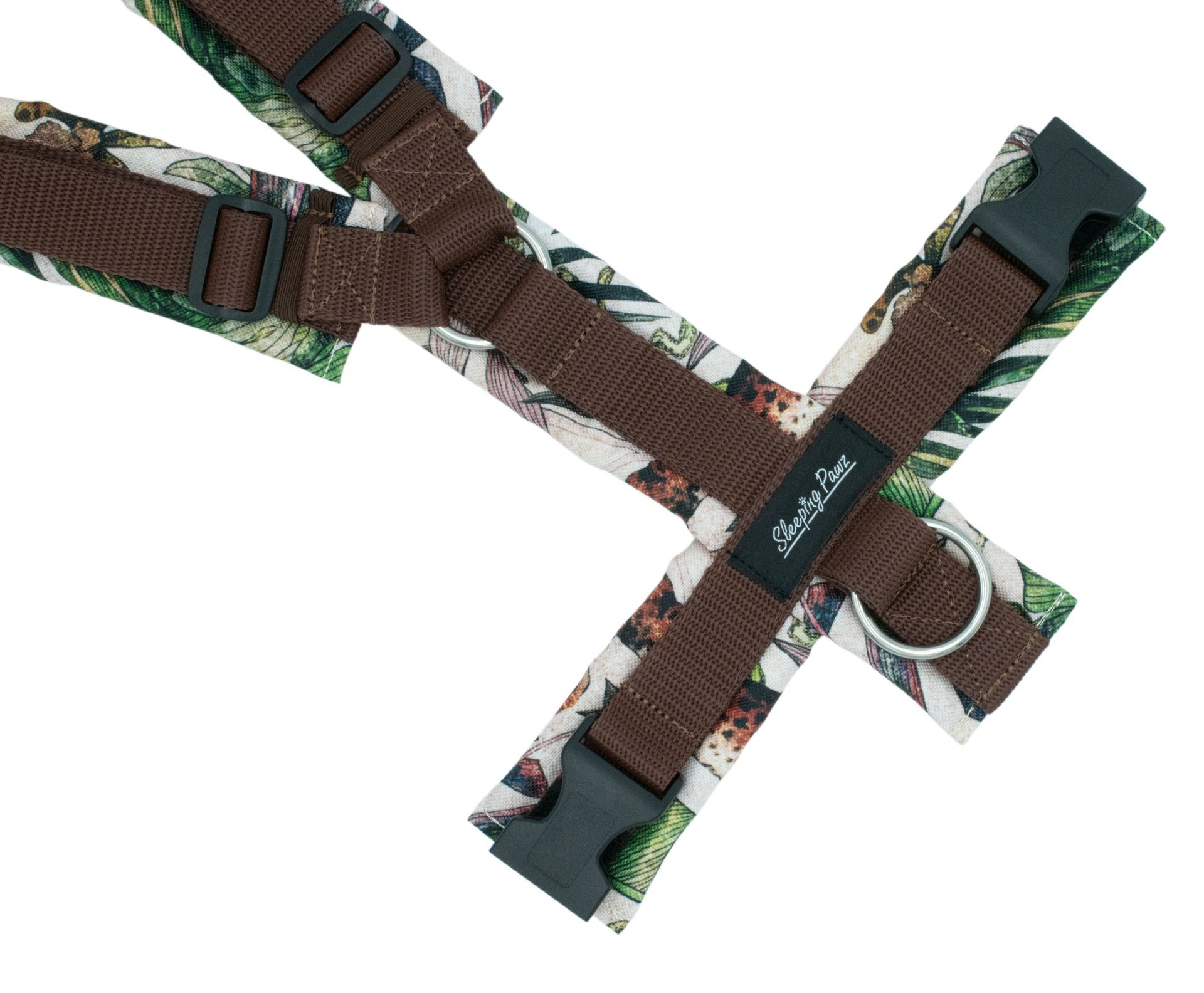 Gr. M Cheetah in the Jungle x Braun