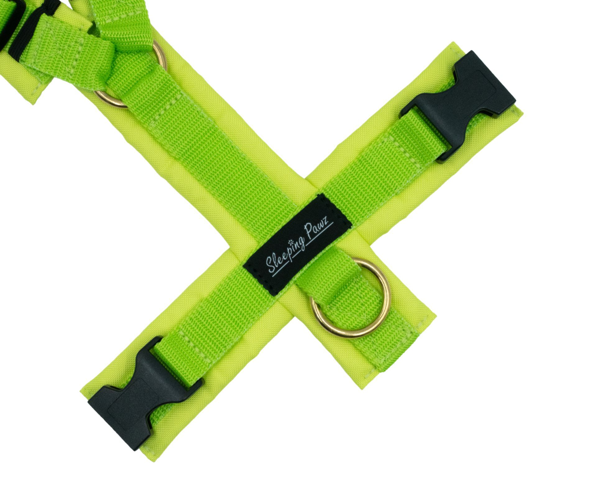 Gr. M Neon Kiwi x Pistazie