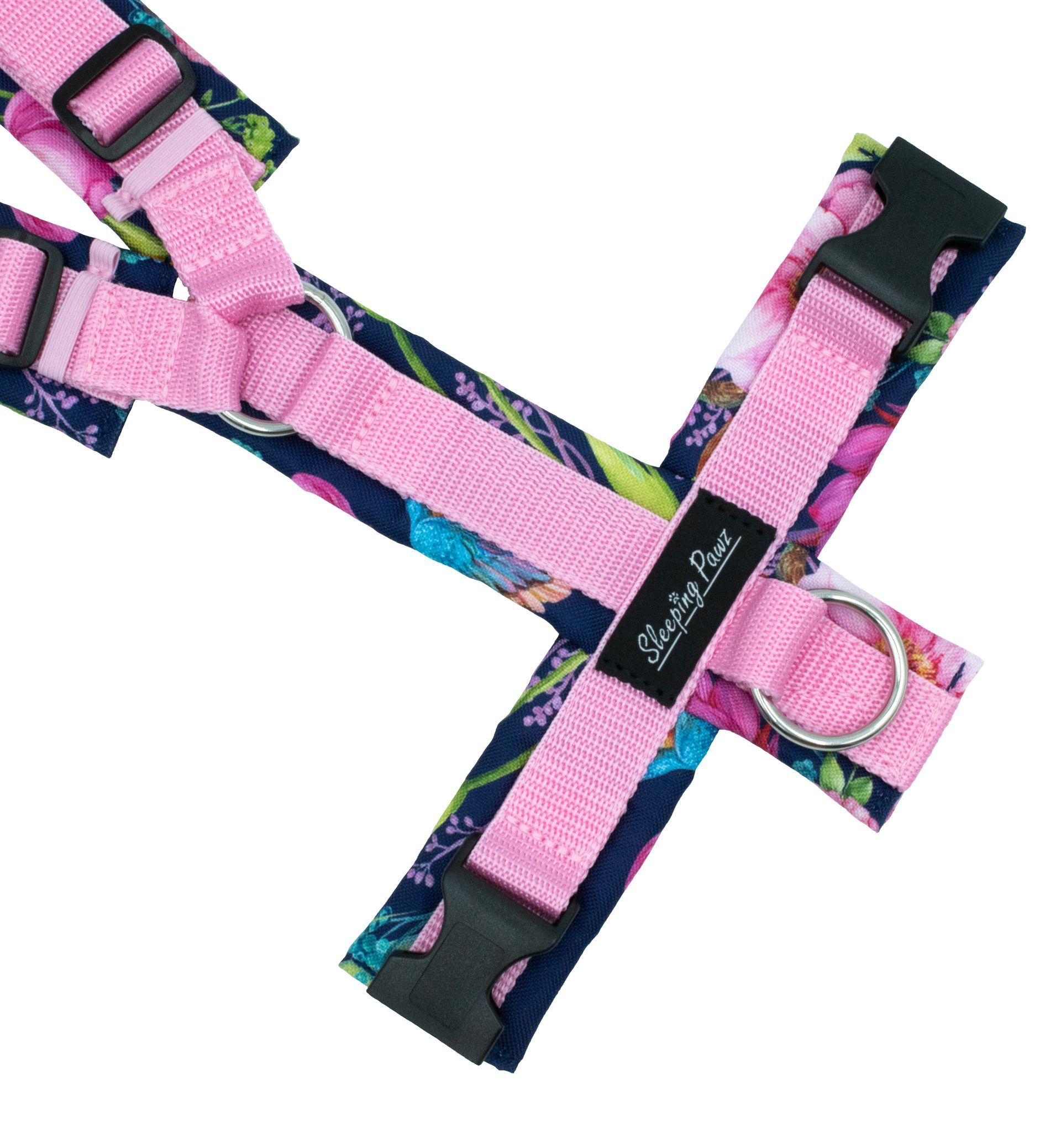 Gr. M Eisvogel x Rosa