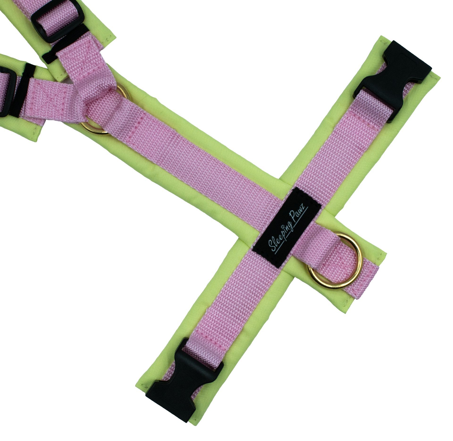 Gr. L Hellgrün x Rosa