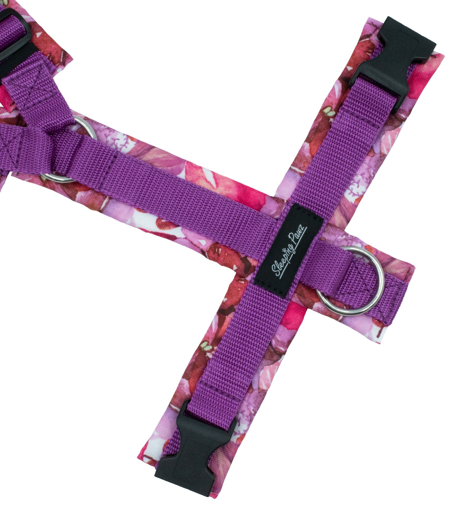 Gr. L Rosa Blumenliebe x Fuchsia