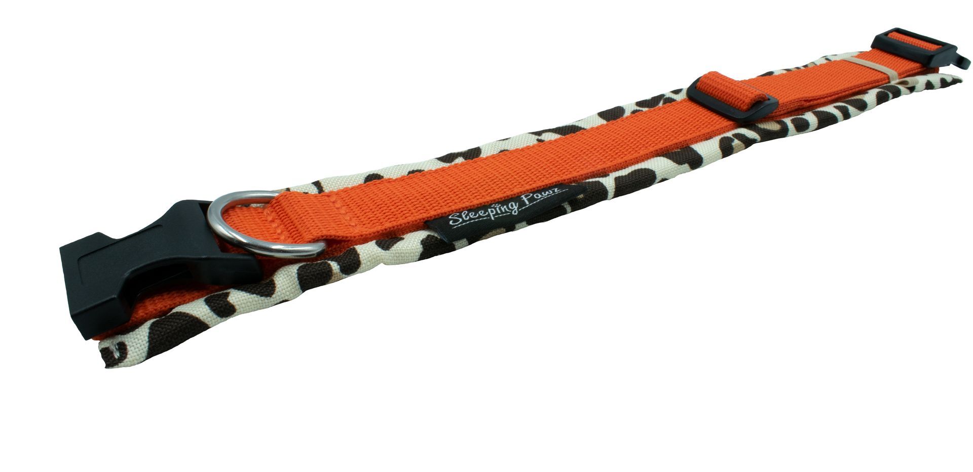 Gr. M Leolove x Orange