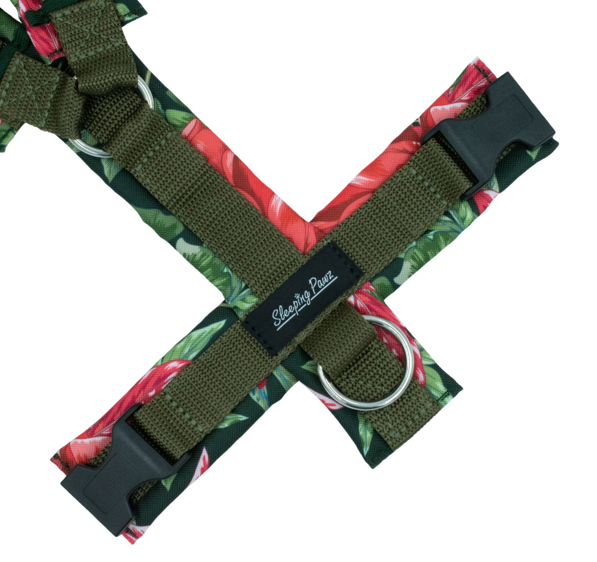 Gr. M Azaleas x Olivgrün